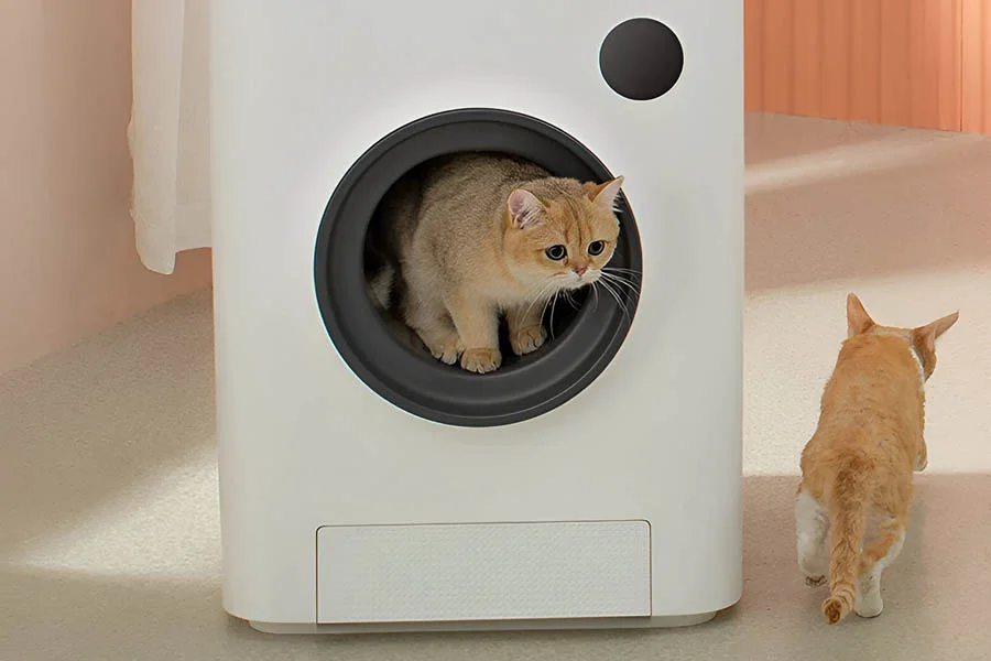 self cleaning litter box review